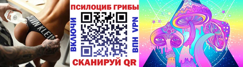 Галлюциногенные грибы мухоморы  Пушкино 